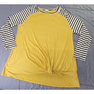Veveret Woman's Pullover Long Sleeve Tunic Top, Size 3XL